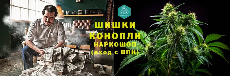 Конопля Ganja  Ялта 